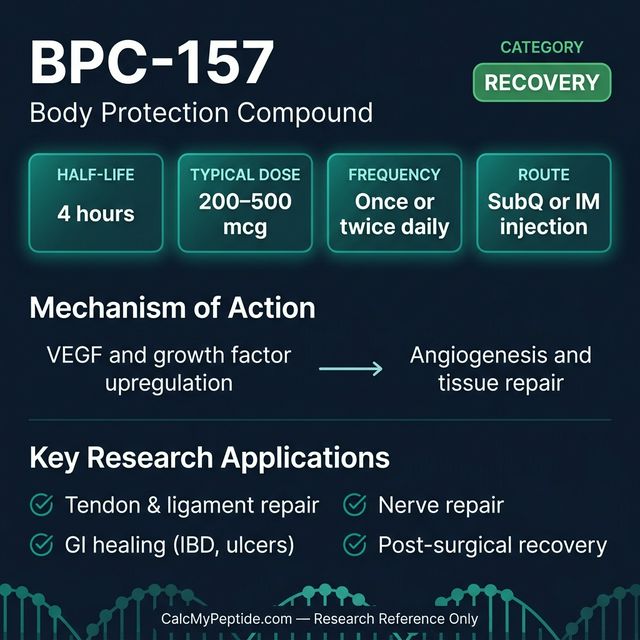 BPC-157 dosing guide infographic showing dose range 200-800 mcg/day, half-life 4 hours, and reconstitution example