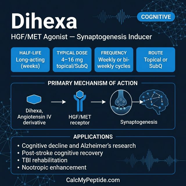 Dihexa dosing guide infographic showing dose range 10-40 mg/day (oral/intranasal), half-life ~2-4 hours (estimated), and reconstitution example