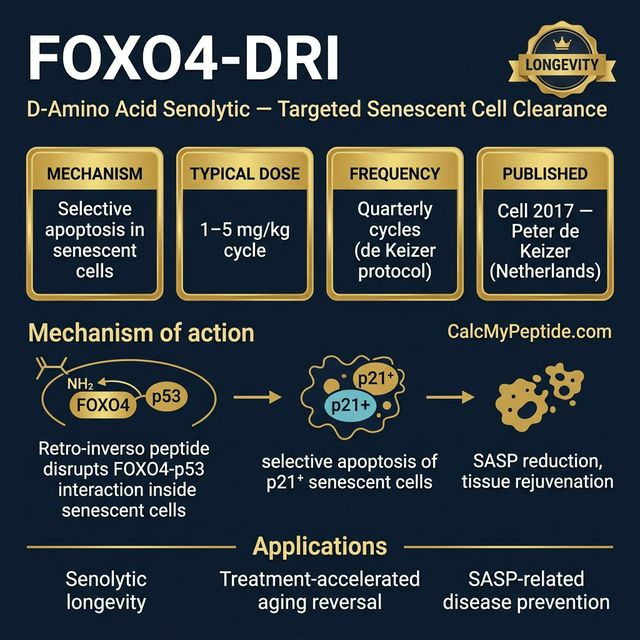 FOXO4-DRI dosing guide infographic showing dose range 5-20 mg/kg body weight, half-life ~2-6 hours (estimated), and reconstitution example