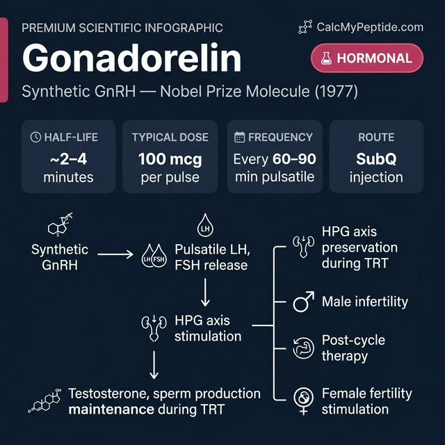 Gonadorelin dosing guide infographic showing dose range 100-500 mcg/day, half-life ~4 minutes, and reconstitution example