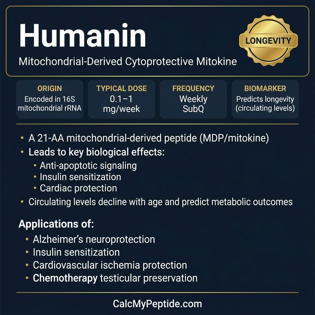 Humanin dosing guide infographic showing dose range 1-5 mg/day (research), half-life ~30 minutes, and reconstitution example