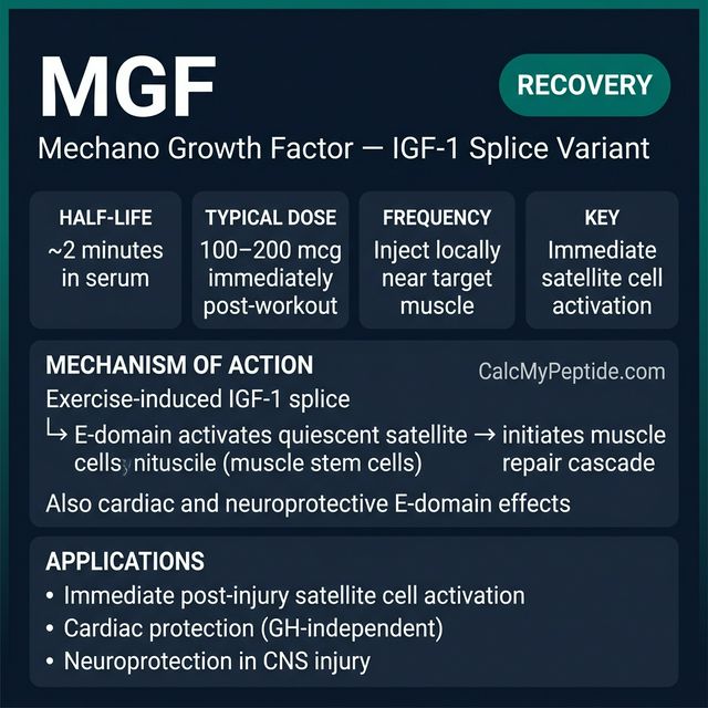 MGF dosing guide infographic showing dose range 100-200 mcg per site, half-life ~5-7 minutes, and reconstitution example