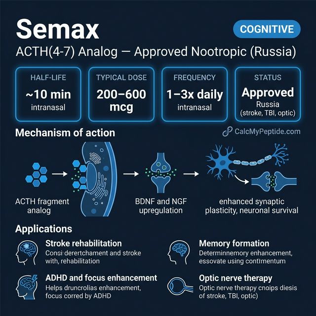 Semax dosing guide infographic showing dose range 200-600 mcg/day (intranasal), half-life ~2-3 minutes (rapid metabolism), and reconstitution example